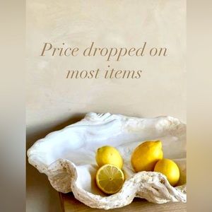 COPY - 🐚 PURGING🕊️